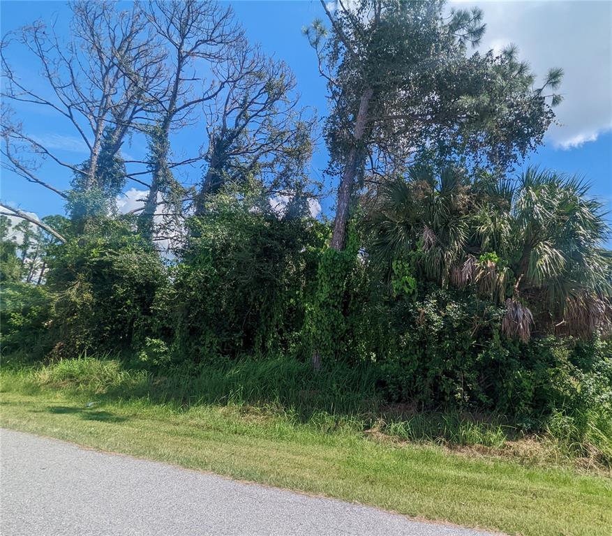 A wooded lot with tall trees and dense undergrowth sits beside a paved road — 13441 DRYSDALE AVENUE, PORT CHARLOTTE, FL