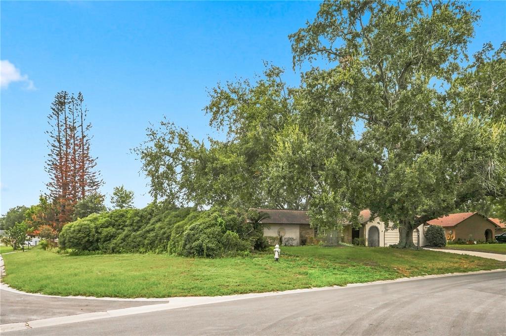 A single-story house sits behind a large tree and a hedge on a corner lot — 512 PONDEROSA DRIVE, ST CLOUD, FL