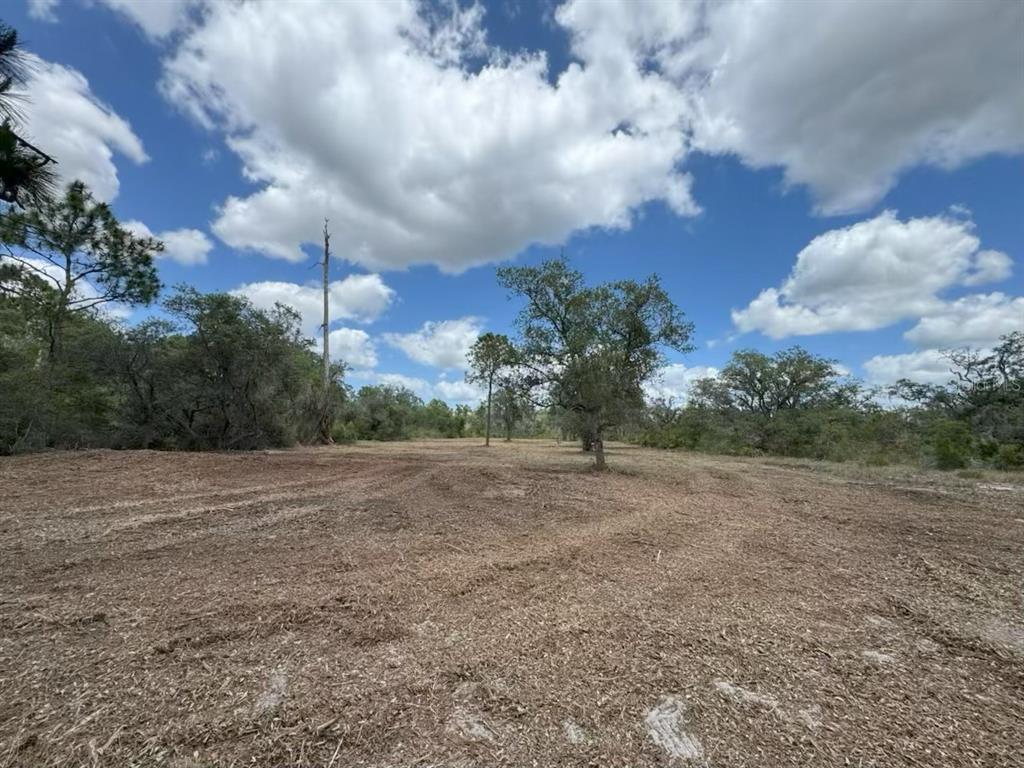A cleared, level lot features scattered trees under a bright blue sky with clouds — US HIGHWAY 27, FROSTPROOF, FL