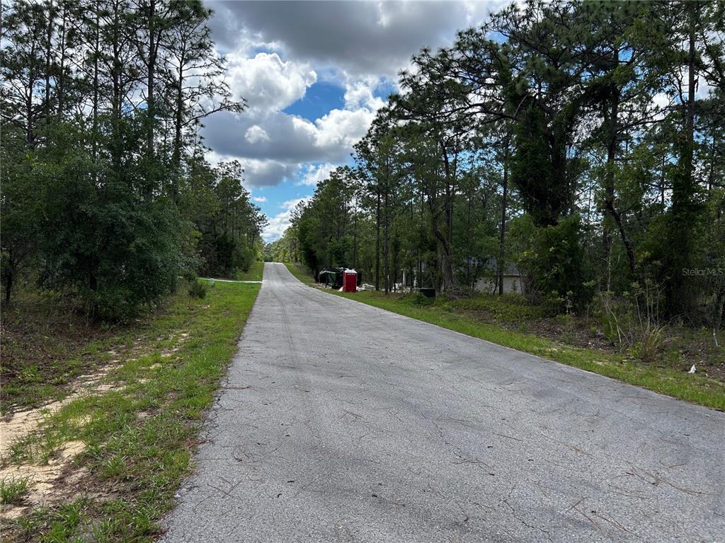 A paved road stretches into a wooded area with a portable toilet on the right — TBD NW FOXGLOVE LANE, DUNNELLON, FL