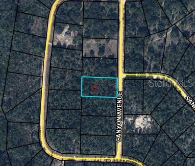 This is an aerial map view of a rectangular plot of land on Canyon Avenue — 0 CANYON AVENUE, ALFORD, FL