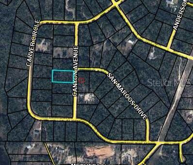 This is a satellite map showing a highlighted rectangular land parcel located on Canyon Avenue — 0 CANYON AVENUE, ALFORD, FL