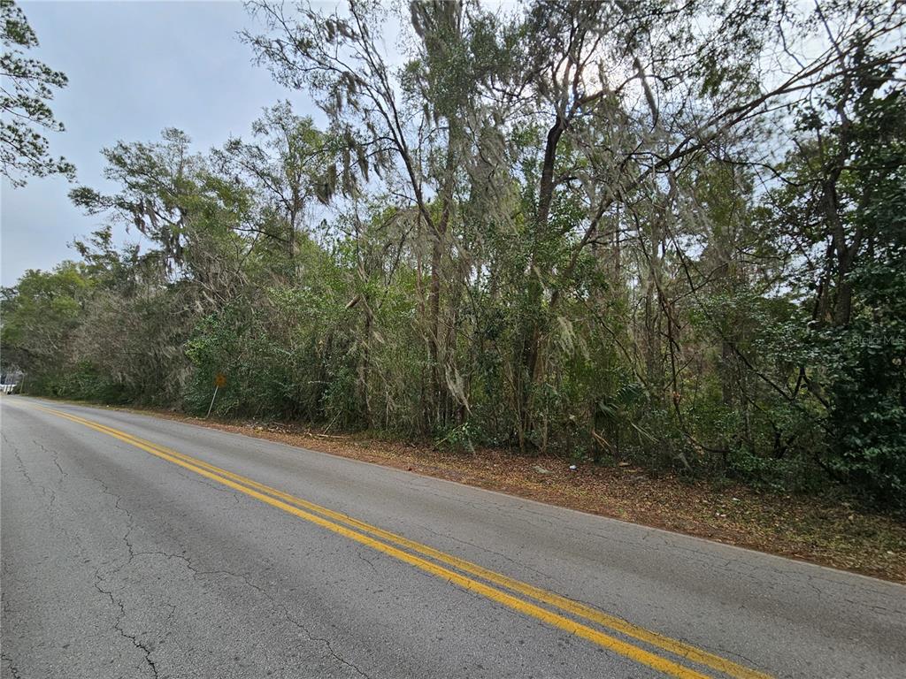 A paved road runs alongside a dense, wooded lot with tall trees and Spanish moss — tbd SW 6TH AVENUE, WILLISTON, FL