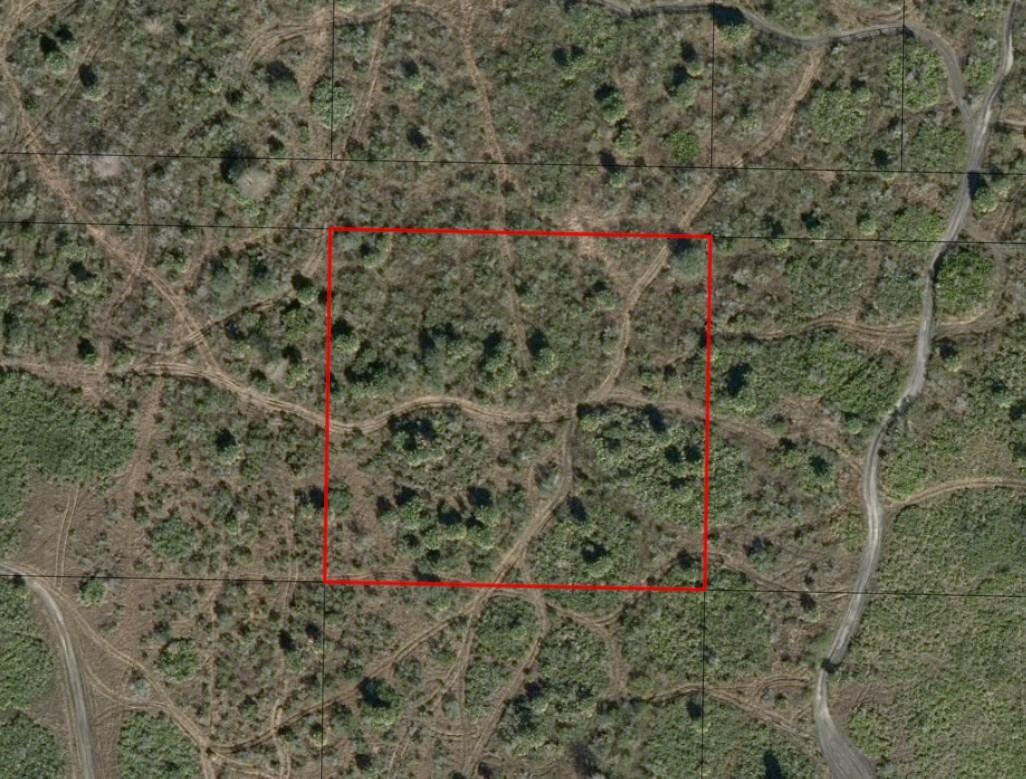 An aerial view of a rectangular plot of land marked by a red border — 0 NW 312th Street, Okeechobee FL 34972, OKEECHOBEE, FL