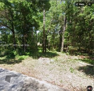 A wooded, undeveloped residential lot viewed from an adjacent paved road — 0 SW SW 97 PL, Dunnellon, Ocala FL 34432, OCALA, FL