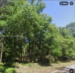 A wooded, undeveloped residential lot features mature trees and a paved road in the foreground — 0 SW SW 97 PL, Dunnellon, Ocala FL 34432, OCALA, FL