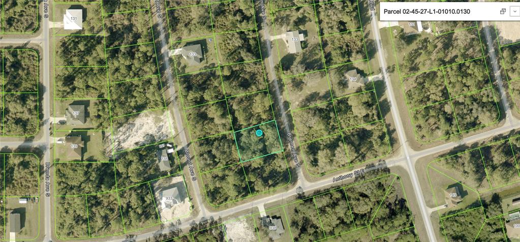 This is an aerial map showing a vacant, wooded residential lot outlined in green — 138 BREMEN AVENUE S, LEHIGH ACRES, FL