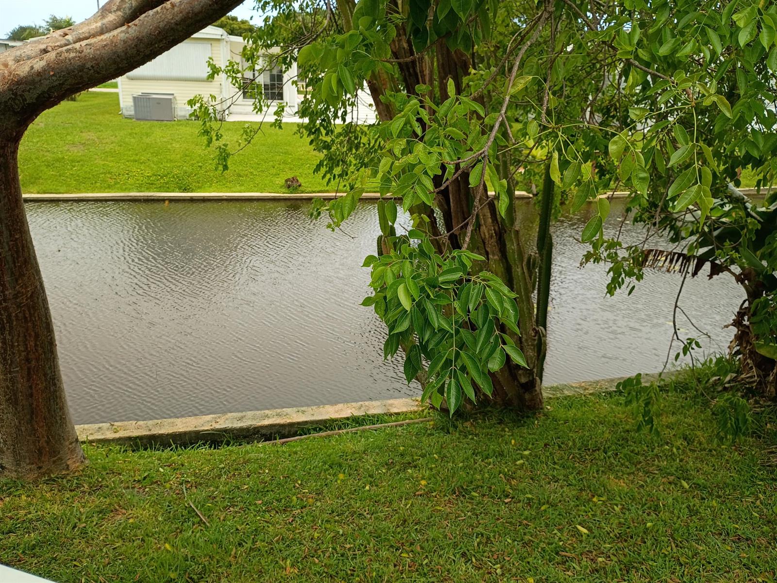 A canal flows between a grassy yard and a house in the background — 2080 SW 85th Avenue, Davie FL 33324, DAVIE, FL