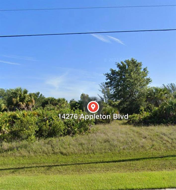 This is a vacant, overgrown residential lot with trees and shrubs under a blue sky — 14276 APPLETON BOULEVARD, PORT CHARLOTTE, FL