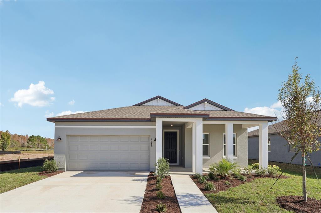 1647 CANE BAMBOO ST