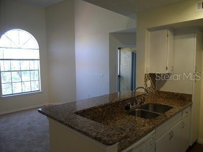 A kitchen with granite countertops and a double sink overlooks a carpeted living area — 413 FOUNTAINHEAD CIRCLE UNIT 231, KISSIMMEE, FL