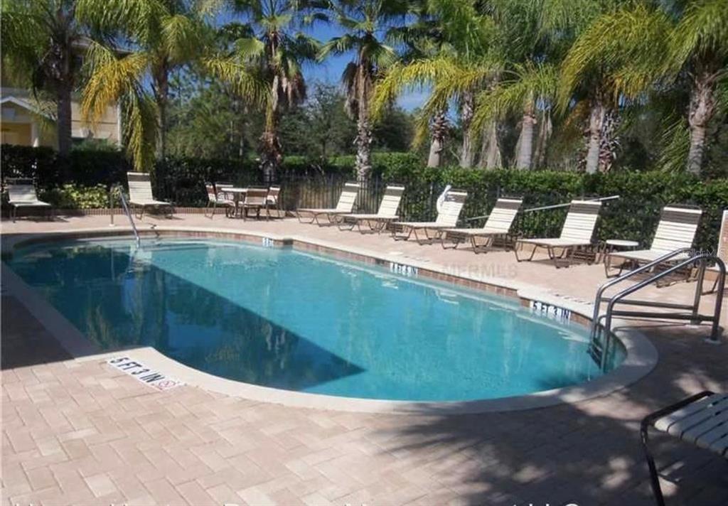 An outdoor swimming pool surrounded by lounge chairs, tables, and palm trees — 12985 COYOTE LN LANE, VENICE, FL