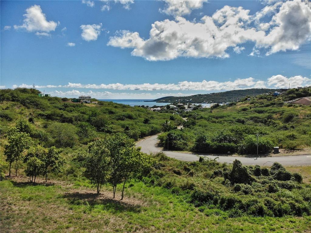 An elevated view of a paved road winding through a grassy, hilly landscape toward the ocean — Posada del Coronel #4 CALLE FLAMENCO#1, CULEBRA, PR