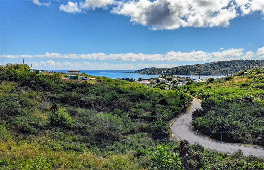 An elevated view of a coastal landscape featuring a winding road, lush vegetation, and ocean — Posada del Coronel #4 CALLE FLAMENCO#1, CULEBRA, PR