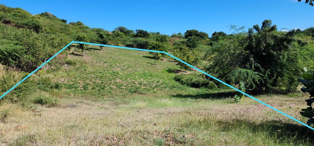 A sloped, grassy plot of land is outlined in blue against a backdrop of trees — Posada del Coronel #4 CALLE FLAMENCO#1, CULEBRA, PR