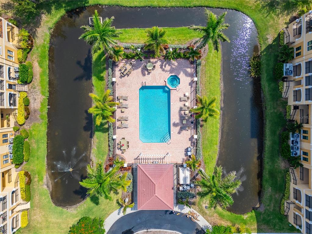 An aerial view shows a rectangular swimming pool and spa surrounded by a paved deck — 6407 MAYRA SHORES LANE, APOLLO BEACH, FL
