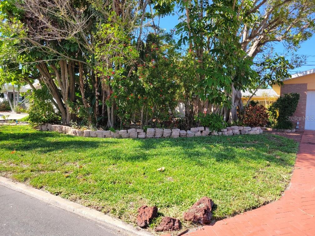 A landscaped front yard features a curved stone retaining wall, mature trees, and shrubs — 315 S TESSIER DRIVE, ST PETE BEACH, FL