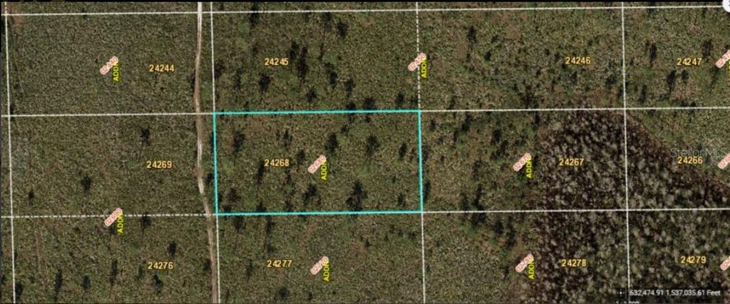 This is an aerial map view showing a highlighted rectangular plot of land — DILL ROAD, ORLANDO, FL