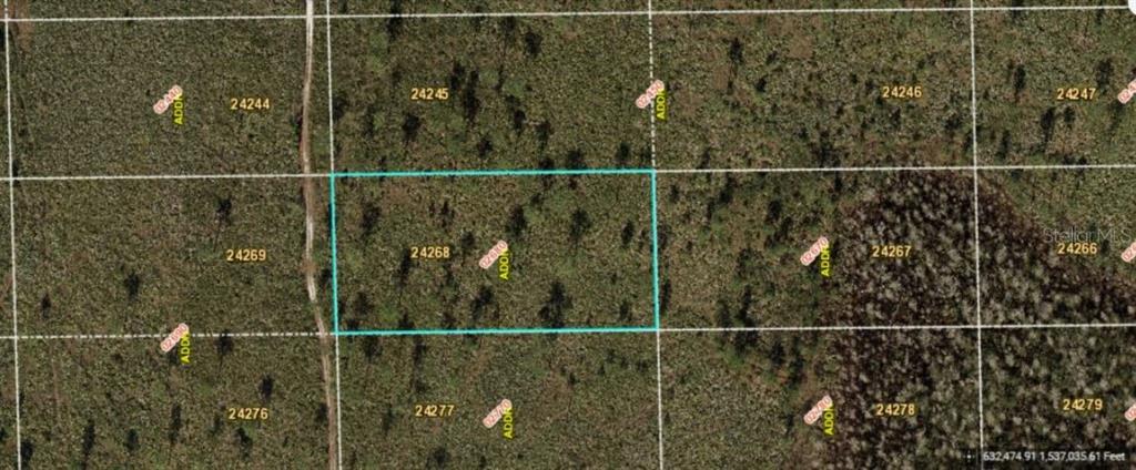 This is an aerial map view showing a rectangular plot of land outlined in blue — DILL ROAD, ORLANDO, FL