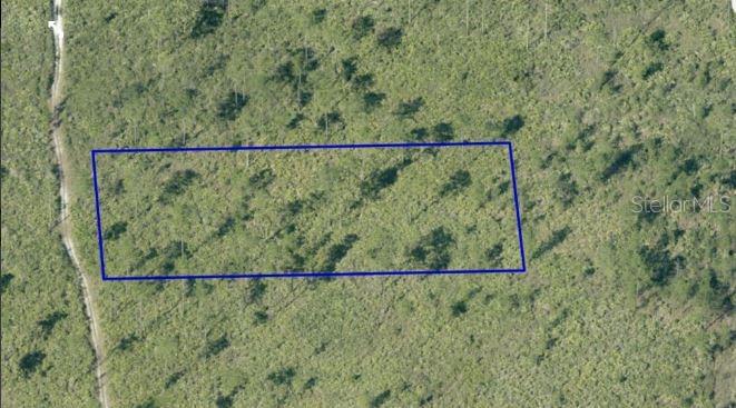 An aerial view shows a rectangular plot of undeveloped land outlined in blue — DILL ROAD, ORLANDO, FL