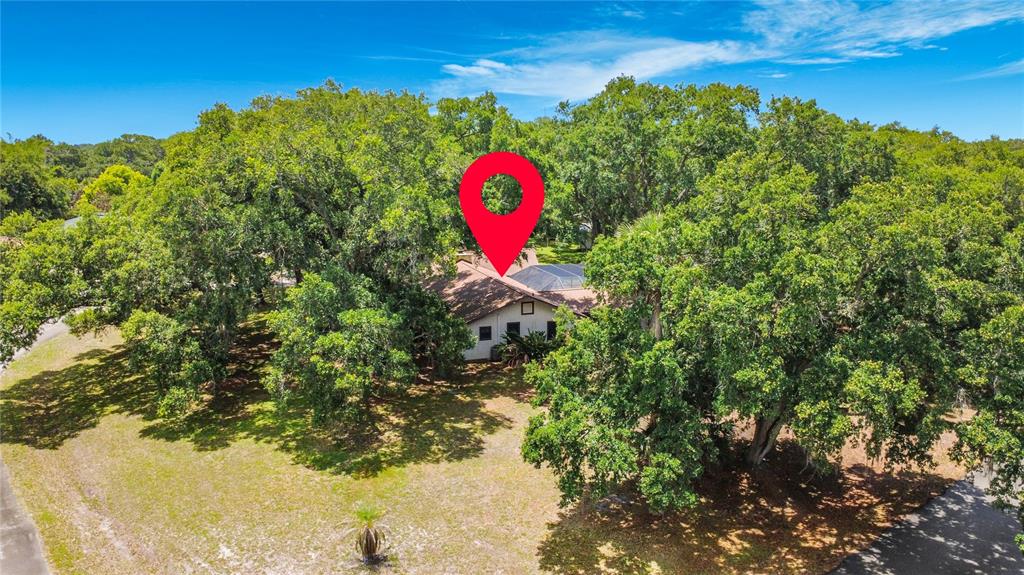 An aerial view of a house surrounded by large trees under a blue sky — 420 NINA ROAD NE, PALM BAY, FL