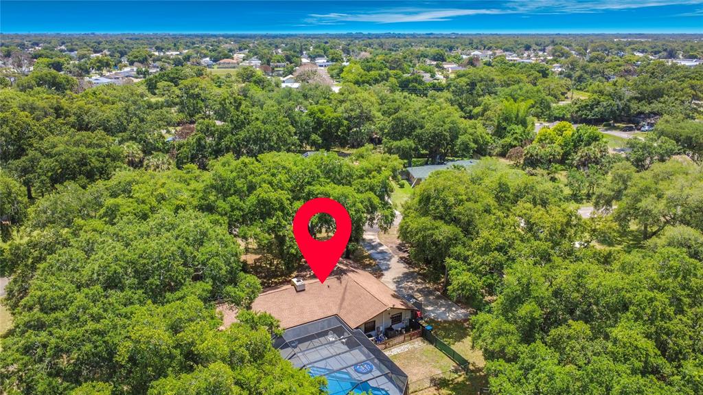 An aerial view shows a house with a pool enclosure surrounded by many trees — 420 NINA ROAD NE, PALM BAY, FL