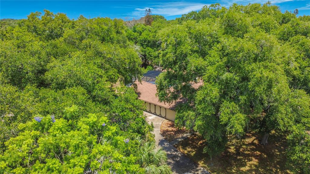 An aerial view shows a house with a screened-in pool nestled among dense green trees — 420 NINA ROAD NE, PALM BAY, FL