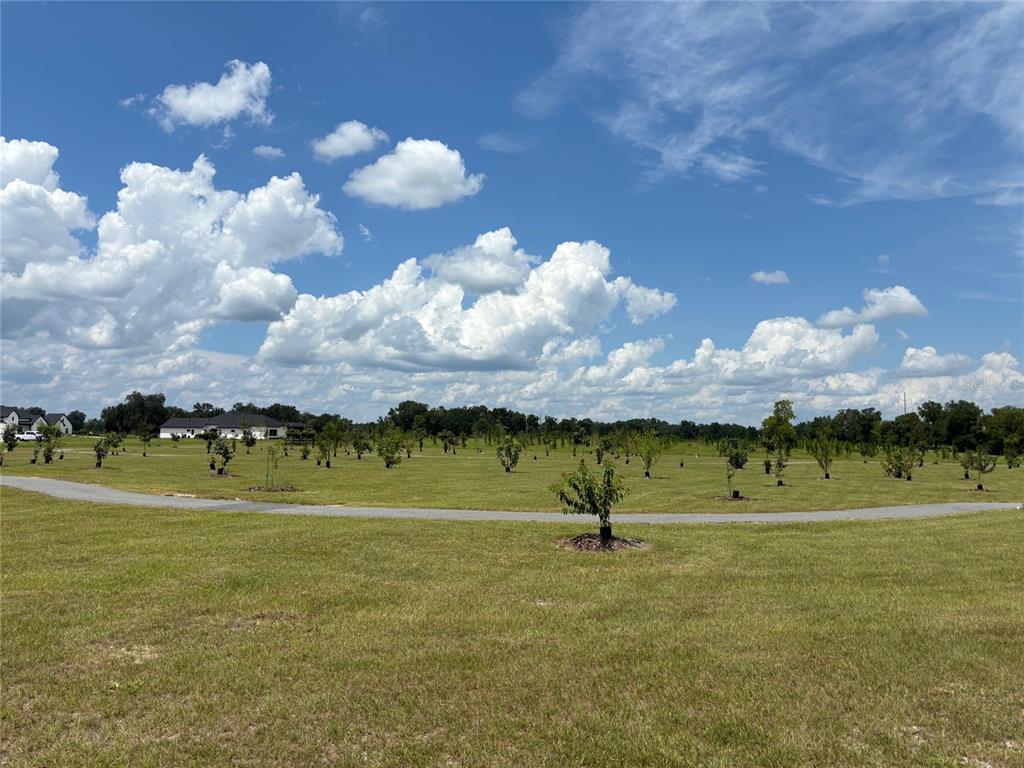 5890 SW 124TH WAY, ARCHER, FL — photo 4 of 6