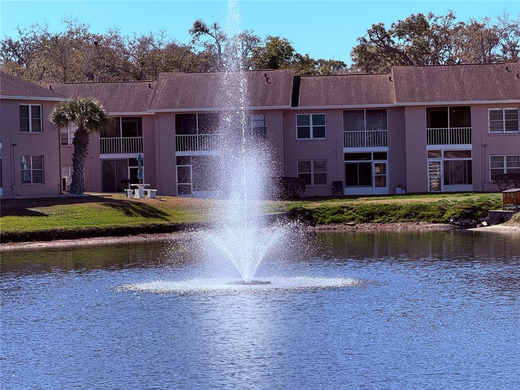 6519 SPRING FLOWER DRIVE UNIT 22