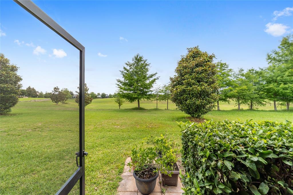 A view from a screened-in patio looking out over a grassy backyard and trees — 3862 NW 49TH COURT, OCALA, FL