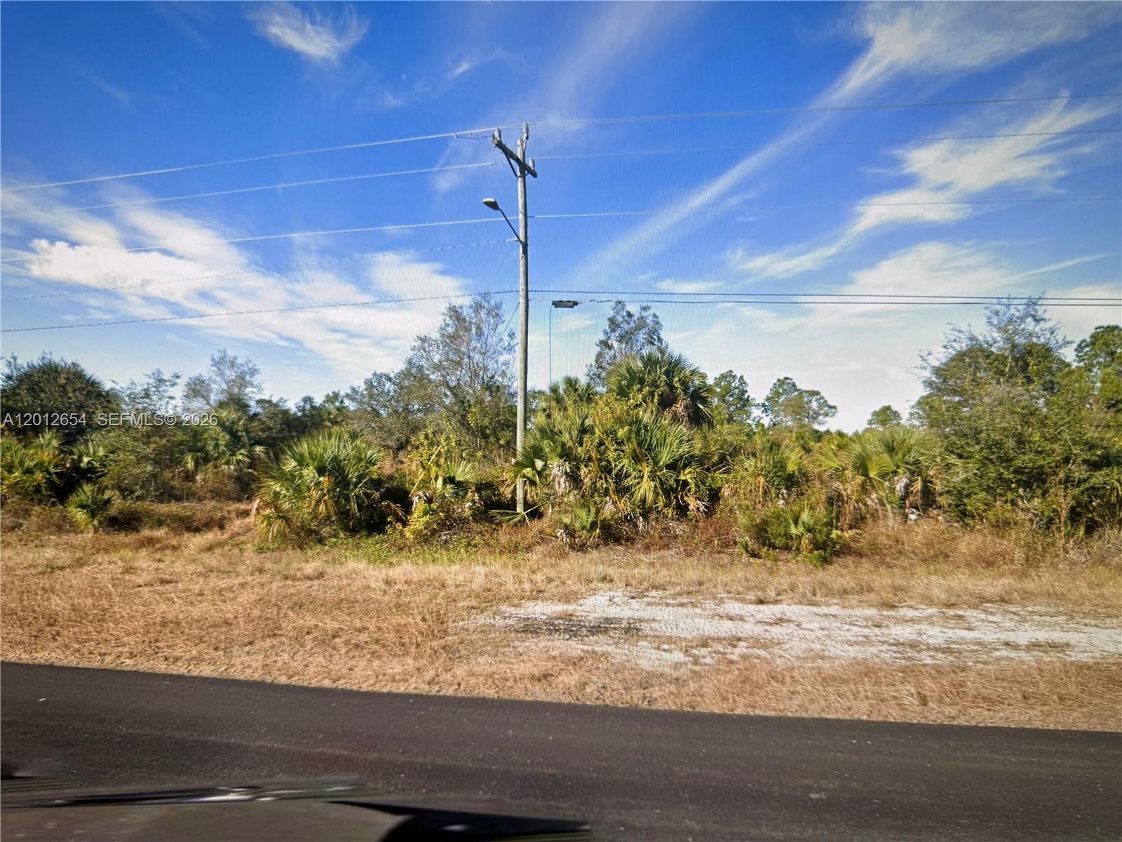 A utility pole stands in front of a dense, overgrown lot with palm trees — 966 Jaguar BLVD, Lehigh Acres FL 33974, LEHIGH ACRES, FL