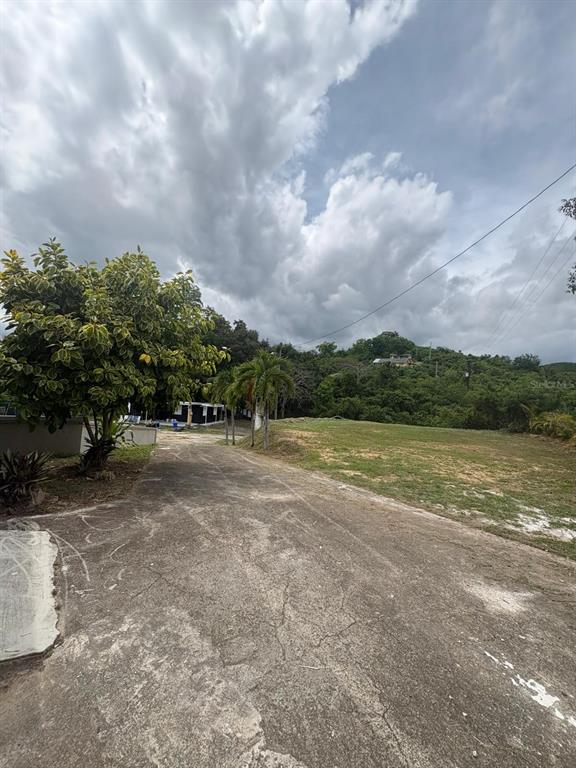 A paved driveway leads toward a grassy lot with trees and a distant hillside — URB EL MADRIGAL MARGINAL NORTE, PONCE, PR