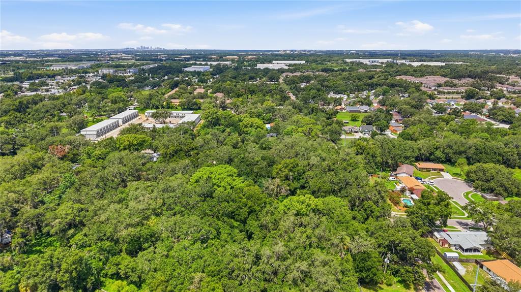 An aerial view shows a large, wooded lot surrounded by residential homes and commercial buildings — 11211 CLAY PIT ROAD, SEFFNER, FL