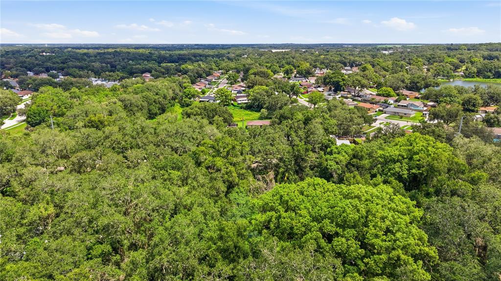 An aerial view shows a dense forest area adjacent to a residential neighborhood — 11211 CLAY PIT ROAD, SEFFNER, FL