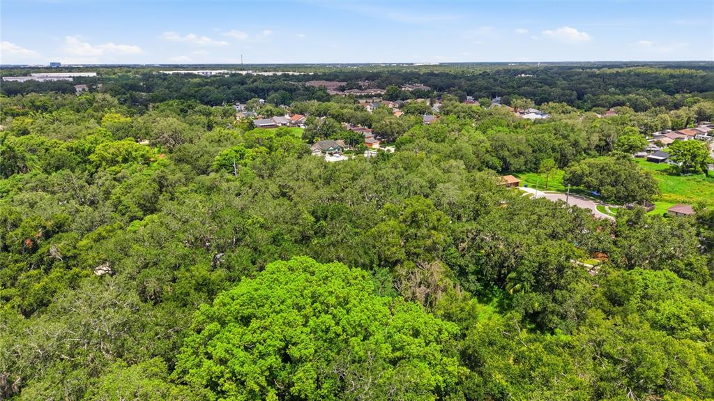 An aerial view shows a dense forest canopy surrounding a residential neighborhood with scattered houses — 11211 CLAY PIT ROAD, SEFFNER, FL