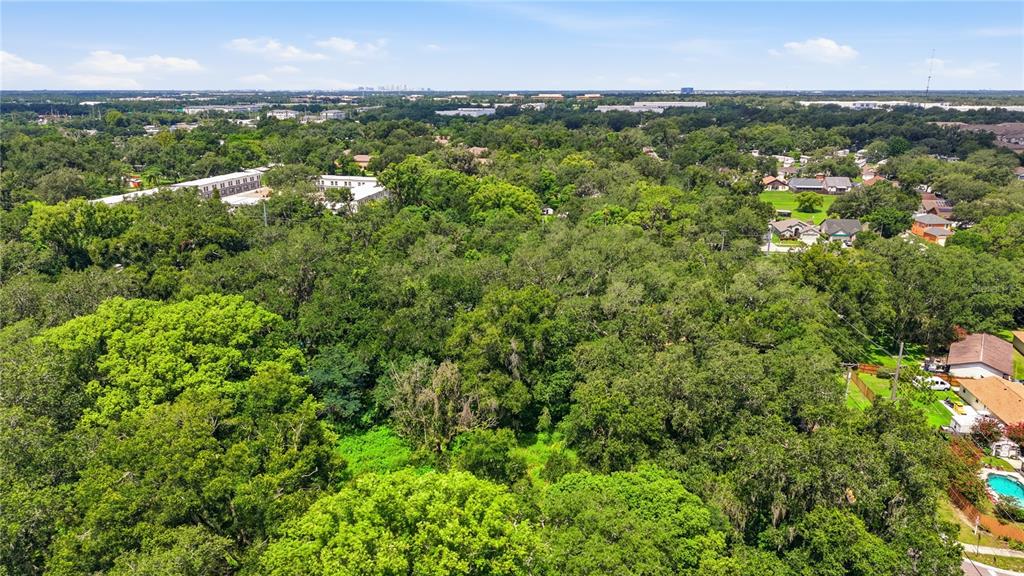 An aerial view shows a dense, tree-covered lot situated between residential neighborhoods and commercial buildings — 11211 CLAY PIT ROAD, SEFFNER, FL