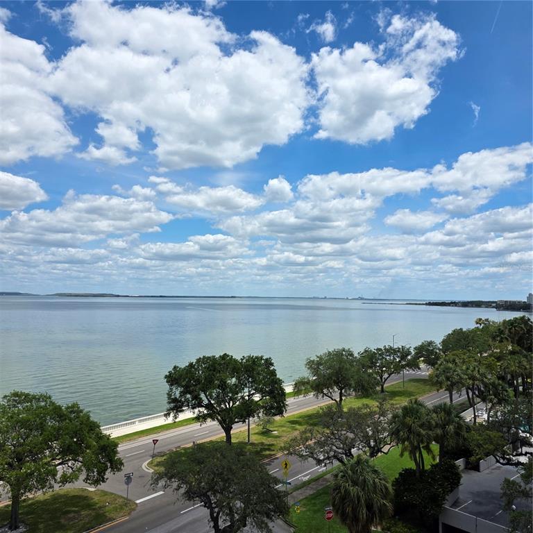 An elevated view of a coastal road, trees, and a large body of water — 4015 BAYSHORE BOULEVARD UNIT 7F, TAMPA, FL