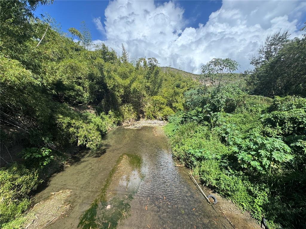 PR-335, GUAYANILLA, PR — photo 2 of 6