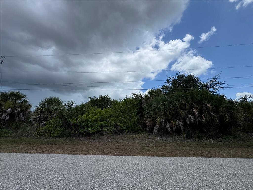 A view of a vacant, overgrown lot bordered by a paved road and power lines — 13224 KITCHENER AVENUE, PORT CHARLOTTE, FL