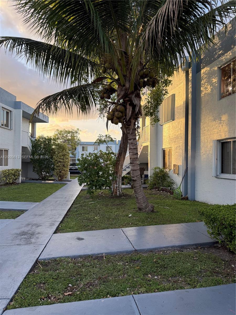 A palm tree stands in the courtyard between two multi-story apartment buildings at sunset — 6219 SW 131st Pl # 204, Miami FL 33183, MIAMI, FL