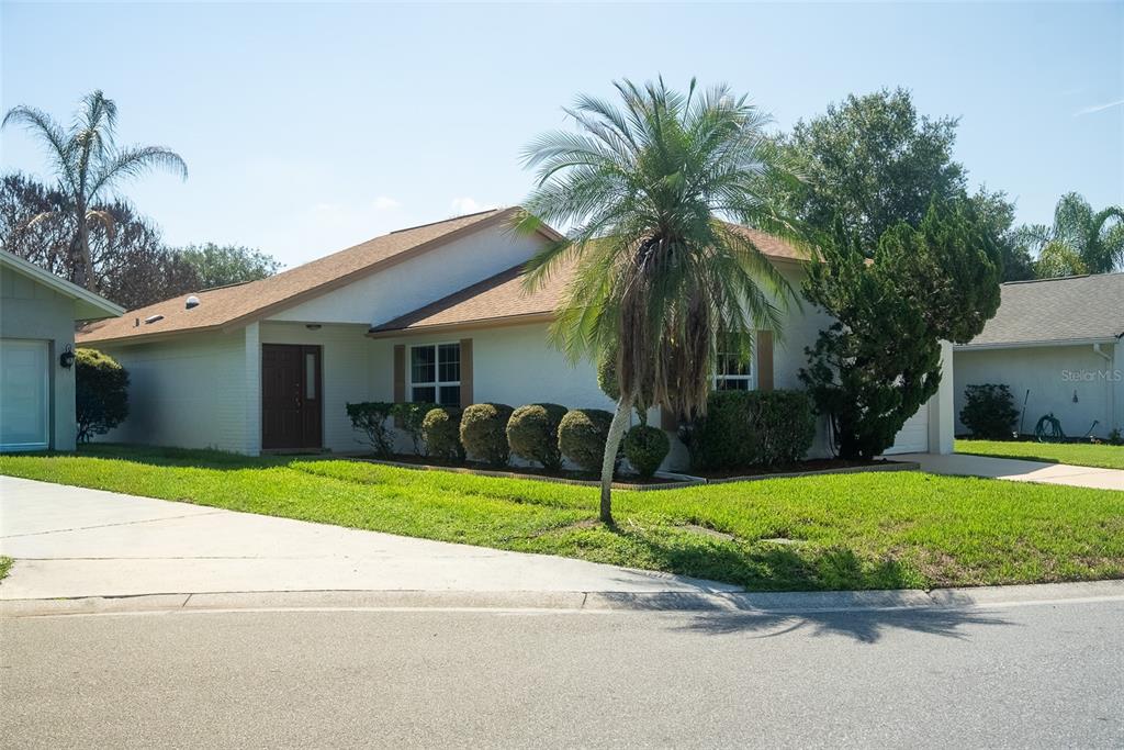 A single-story house with a palm tree, manicured shrubs, and a concrete driveway — 3429 PINEBROOK COURT, ORLANDO, FL