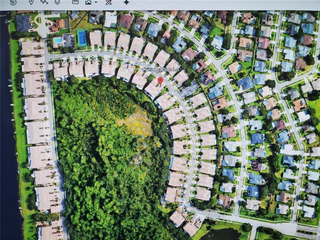 An aerial map view shows a residential neighborhood with houses bordering a large wooded area — 1720 ARABIAN LANE, PALM HARBOR, FL