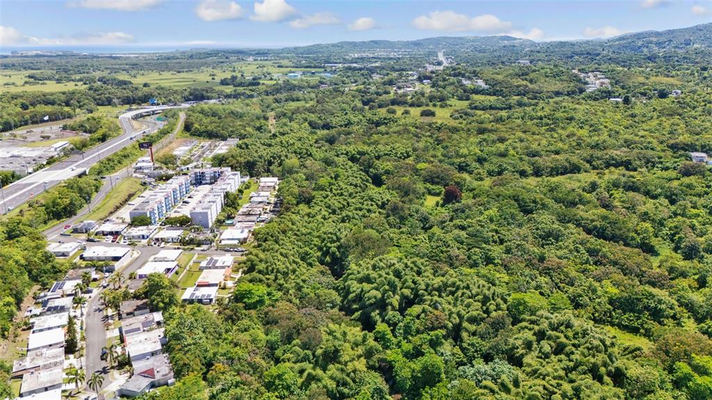 An aerial view shows a residential neighborhood adjacent to a large, dense forest area — 956 BO GUZMAN ABAJO - SECTOR GALATEO, RIO GRANDE, PR