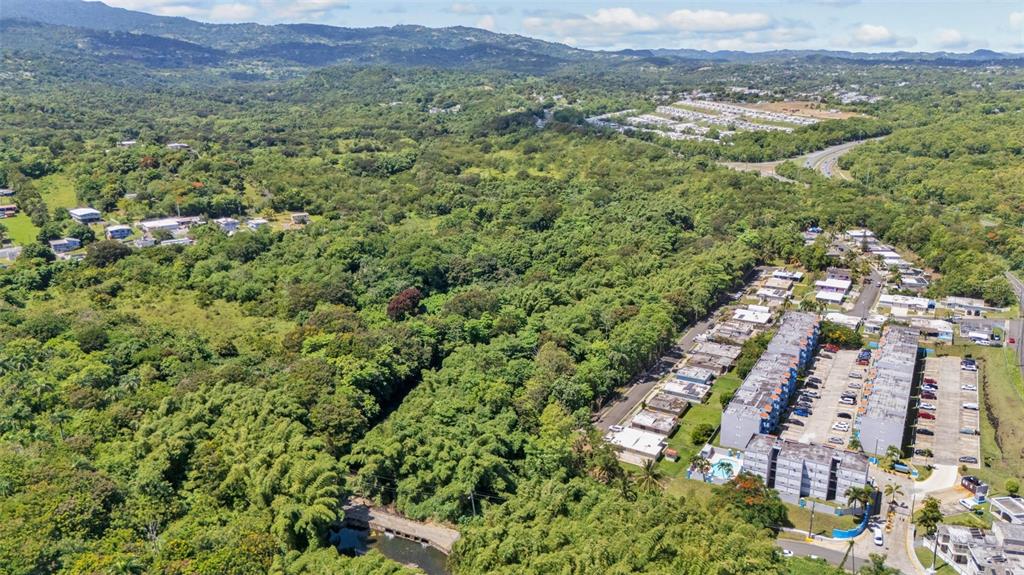 An aerial view shows a residential apartment complex adjacent to a large area of forest — 956 BO GUZMAN ABAJO - SECTOR GALATEO, RIO GRANDE, PR