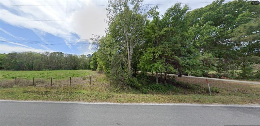 A vacant, grassy lot with a line of trees borders a paved road — GREEN POND RD, POLK CITY, FL