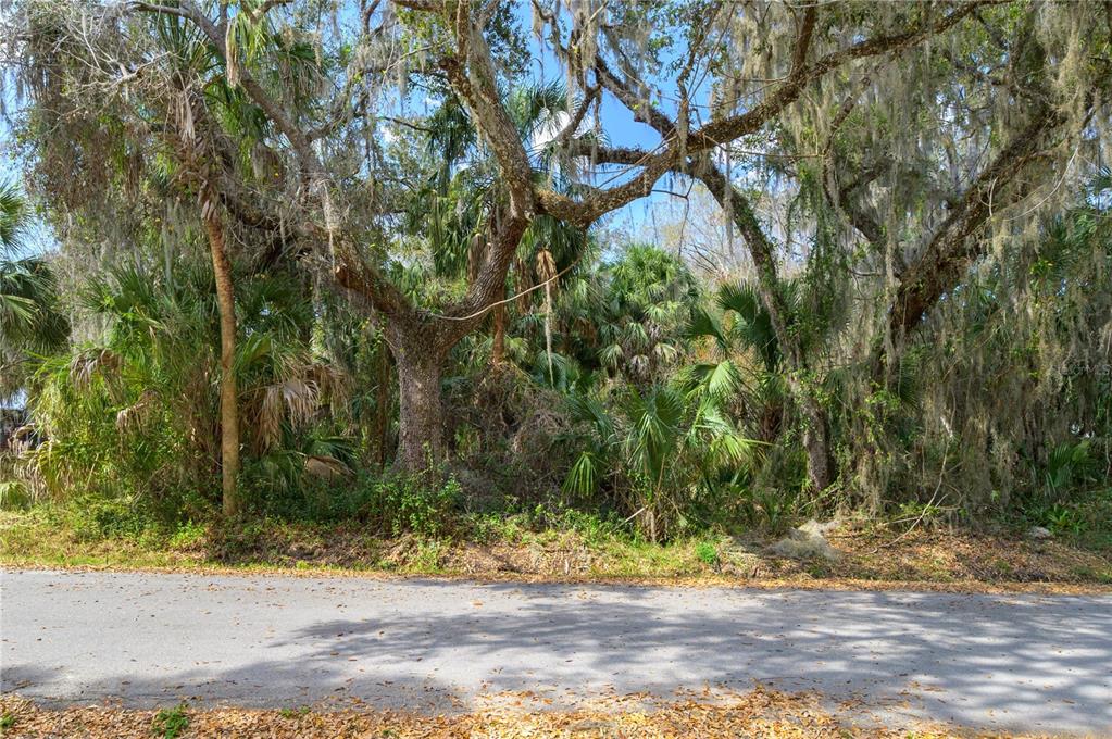 A paved road runs in front of a densely wooded lot with large oak trees — 00 W BEACH PARKWAY UNIT 0, LAKE WALES, FL