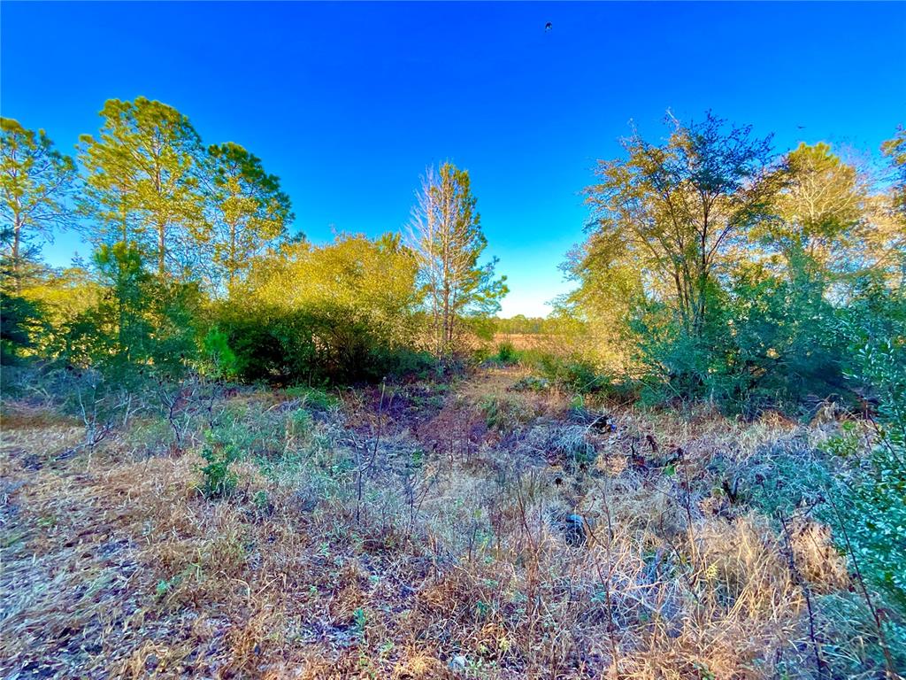 TBD LAKEVIEW WAY, INTERLACHEN, FL — photo 2 of 14