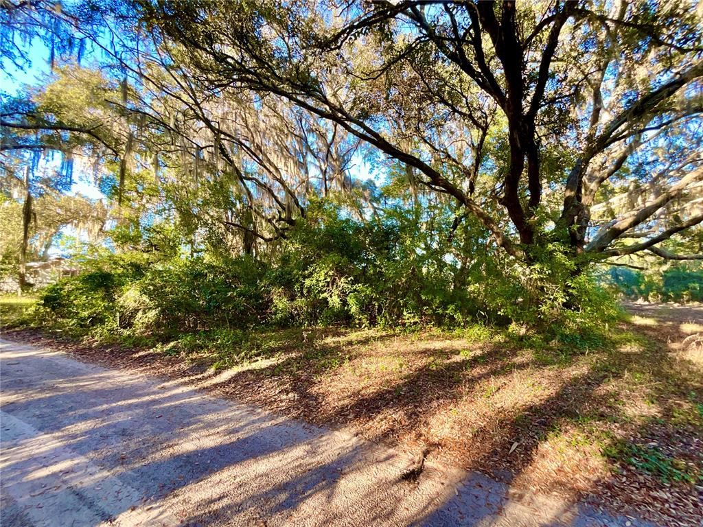 TBD LAKEVIEW WAY, INTERLACHEN, FL — photo 3 of 14