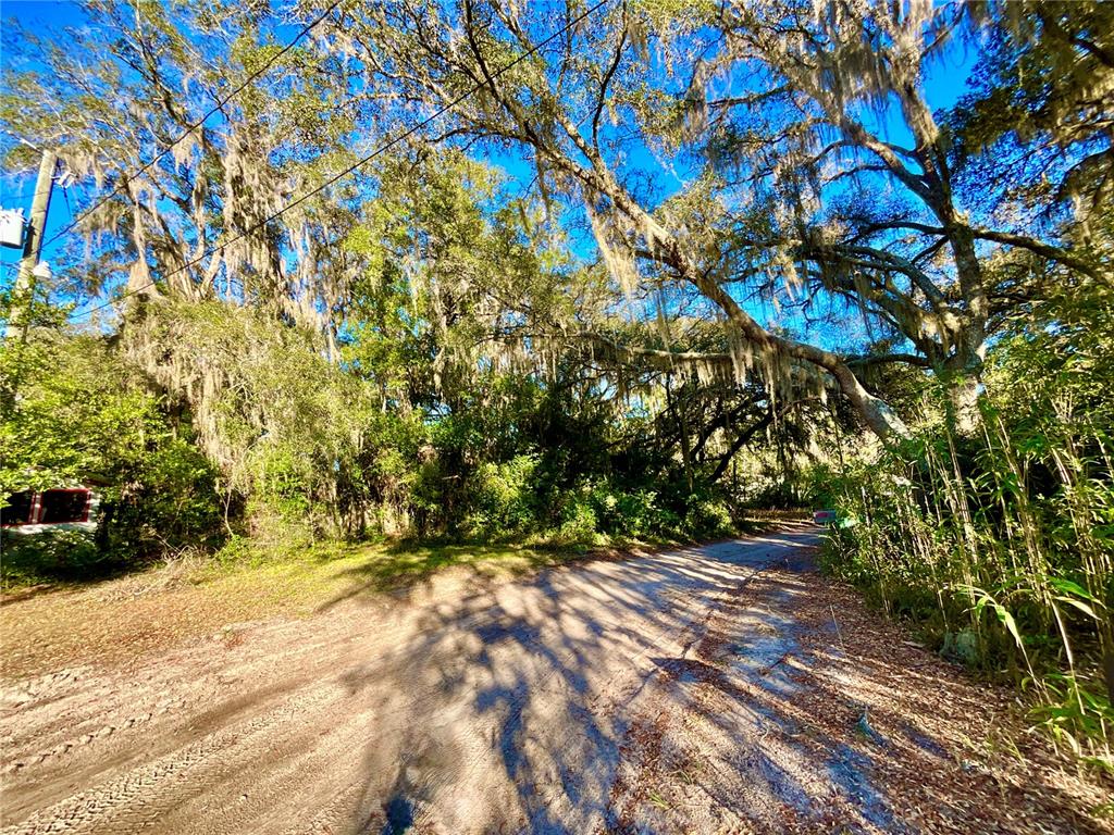 TBD LAKEVIEW WAY, INTERLACHEN, FL — photo 4 of 14
