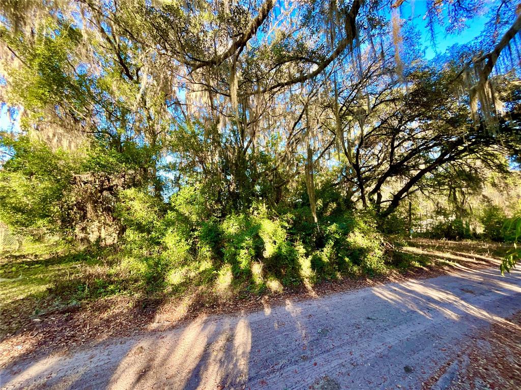 TBD LAKEVIEW WAY, INTERLACHEN, FL — photo 5 of 14